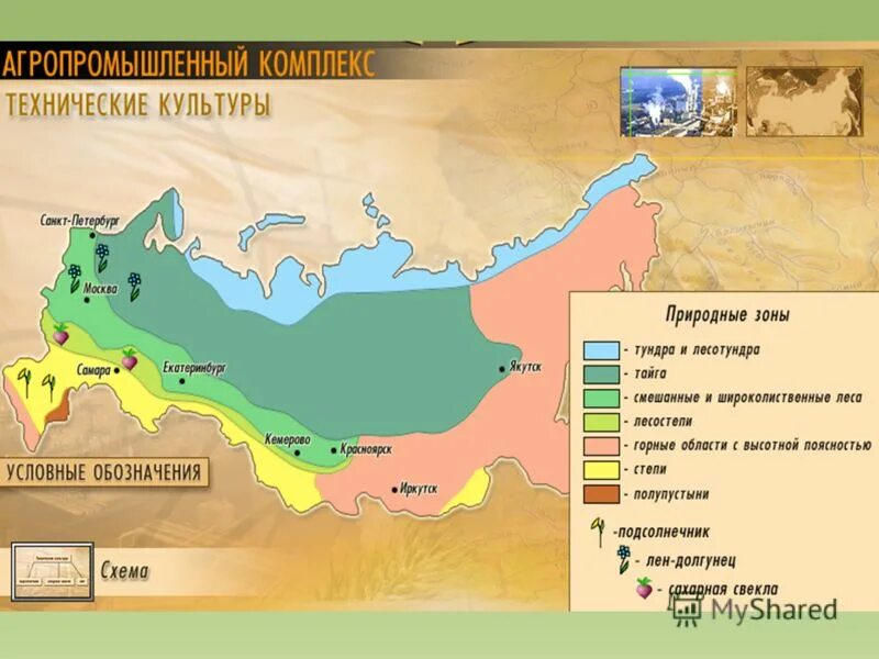 Крупнейшие апк россии. Агропромышленный комплекс география. Агропромышленный комплекс карта. Агропромышленный комплекс КБР. Агропромышленный комплекс России карта.