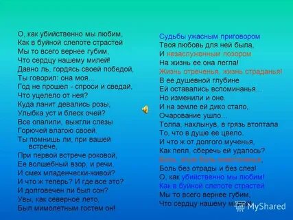 Гимн камера