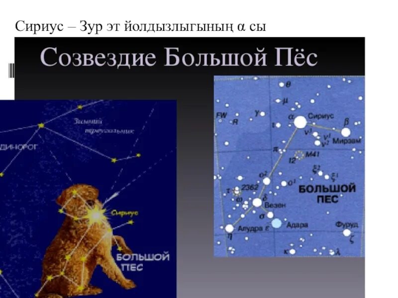 Самая яркая звезда в созвездии большого пса. К какому созвездию относится сириус. Созвездие сириус фото. Сириус звезда в созвездии большого пса. Самая яркая звезда в созвездии большого пса.