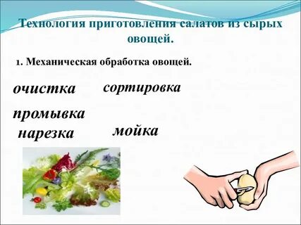 Технология салата