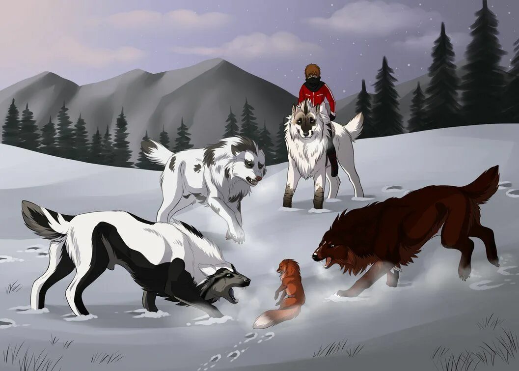 Wolf rule