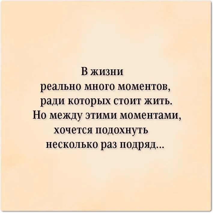 В жизни реально много моментов ради которых. Знаешь кот. Знаешь в жизни реально много моментов ради которых стоит жить. Жить ради этих моментов цитаты.