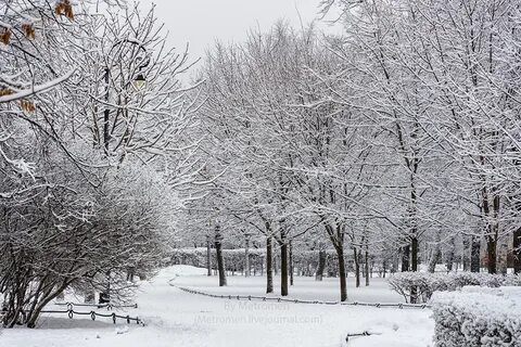 Снежное утро текст