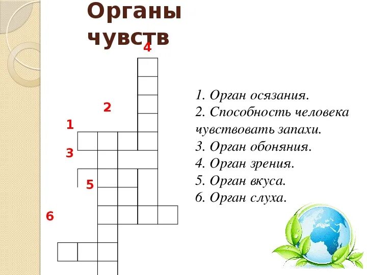 Кроссворд органы чувств. Кроссворд на тему органы человека. Кроссворд на тем человек. Кроссворд на тему органы. Кроссворд орган слуха