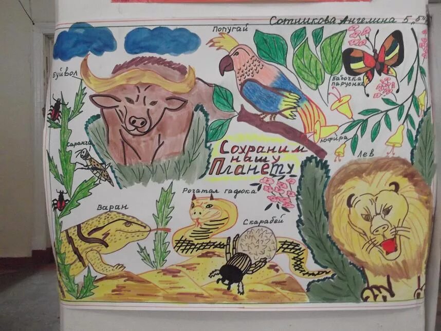 Плакат на тему биологии. Красивый плакать по биологии. Плакат на тему биологии. Газета по биологии. Идеи для плаката по биологии.