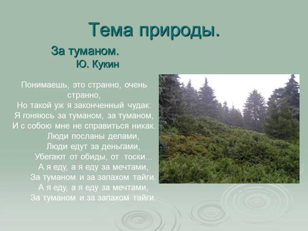 За запахом тайги текст. За запахом тайги текст. Туман и запах тайги. Рассказ о геологах. Там за туманами ноты.