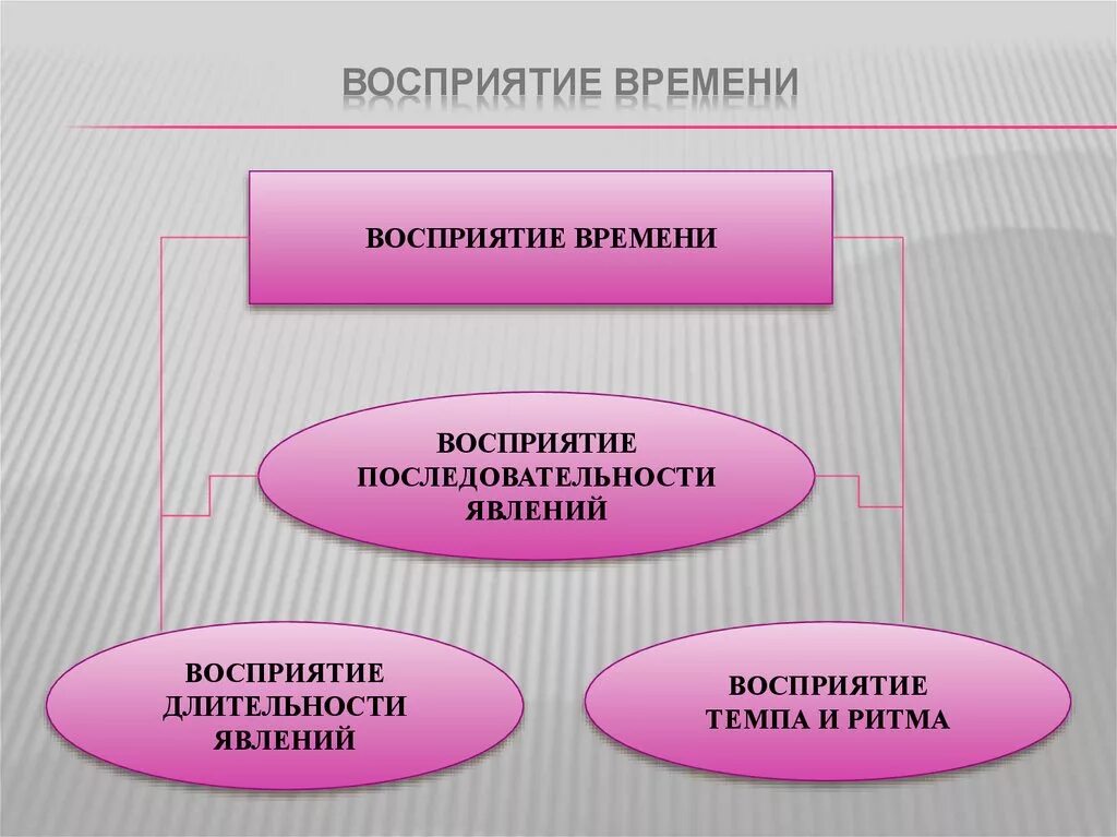 Изучение особенностей восприятия