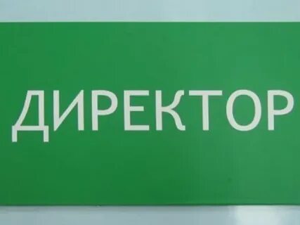 Директор принят в школу