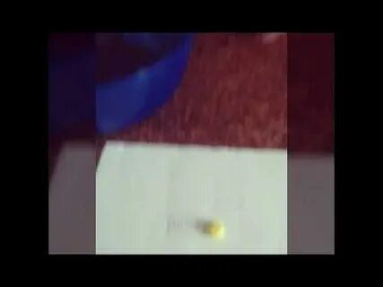 Как вызвать жвачного короля