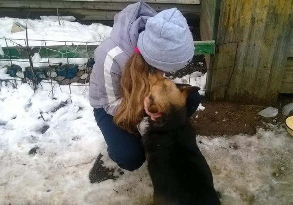 Блогерша лапа тройничек с бомжами. Девочка в приюте для животных. Приютил бездомную девушку. Девушка в приюте для собак. Девочка и Бездомный щенок.