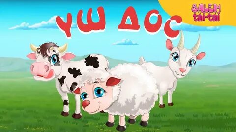 Қыздар еркектің спермасын пиздасынан жалайды