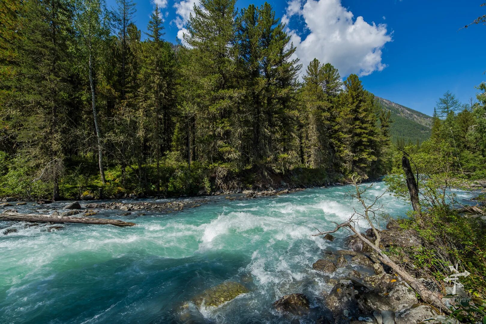 Киргизия горы долина арашан. Река уймень. Сибирь горный алтай. Красивая река. Горной рекой называется.