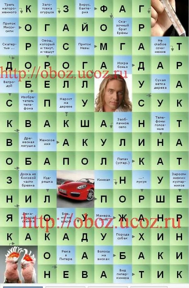 Скандинавские кроссворды крот. Журнал: любимые сканворды. Сканворд 38 1000 советов. Сканворд номер 27. Сканворд номер 27.
