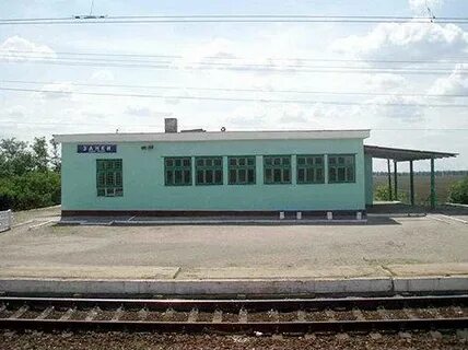 Занки