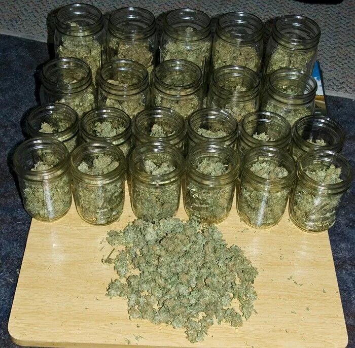 Зип сканка. Зипом сканка. поношенная зипка. картинка из упакоыки сканка. jars full.