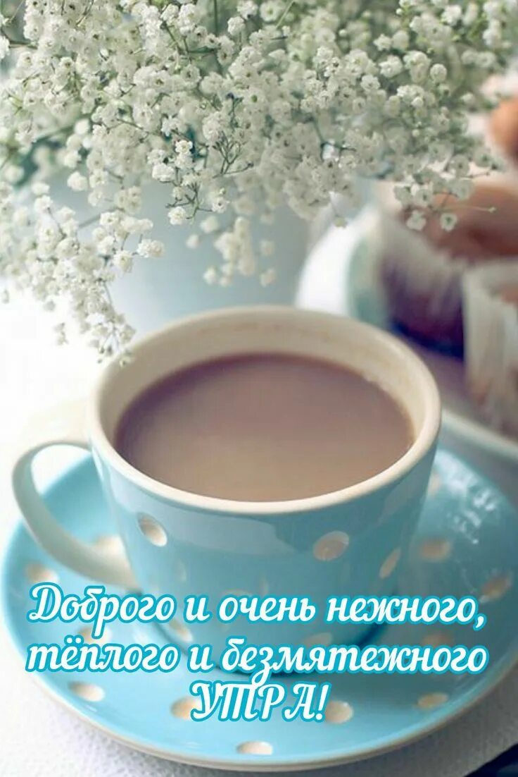 Доброе весеннее утро с кофе. Весенний кофе. доброе утро кофе.
