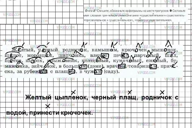 Русский язык 7 класс номер. Русский язык домашнее задание 7 класс. Спишите обозначая орфограммы. Русский язык 7 класс упражнение 20.