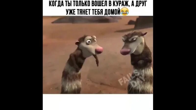 Войти в кураж. Праздник куража картинки прикольные. кураж прикол. куражиться прикол.