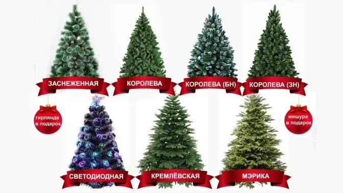 Размер елочки