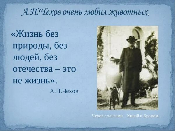 Жизнь какой ее нет рассказ. А П Чехов стихи. Стихи Антона Павловича Чехова.