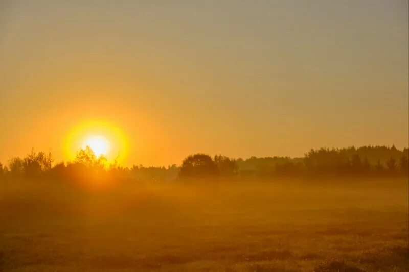 Мудрость природы. Школа будущего. Свет солнца. Природа солнце. Летний пейзаж.