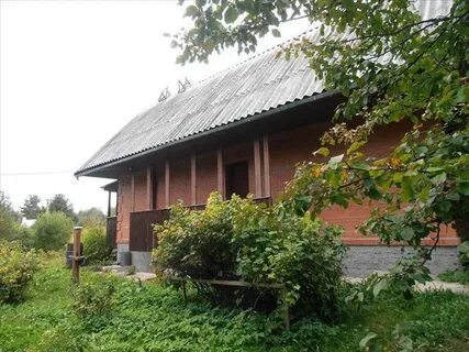 Осинки белоостров