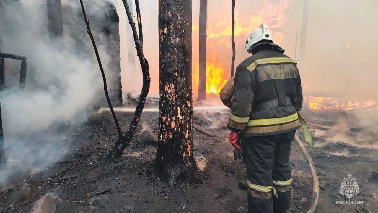 Май сгорел. Пожары. Лесные пожары. Пожар в Екатеринбурге. Пожар фото.