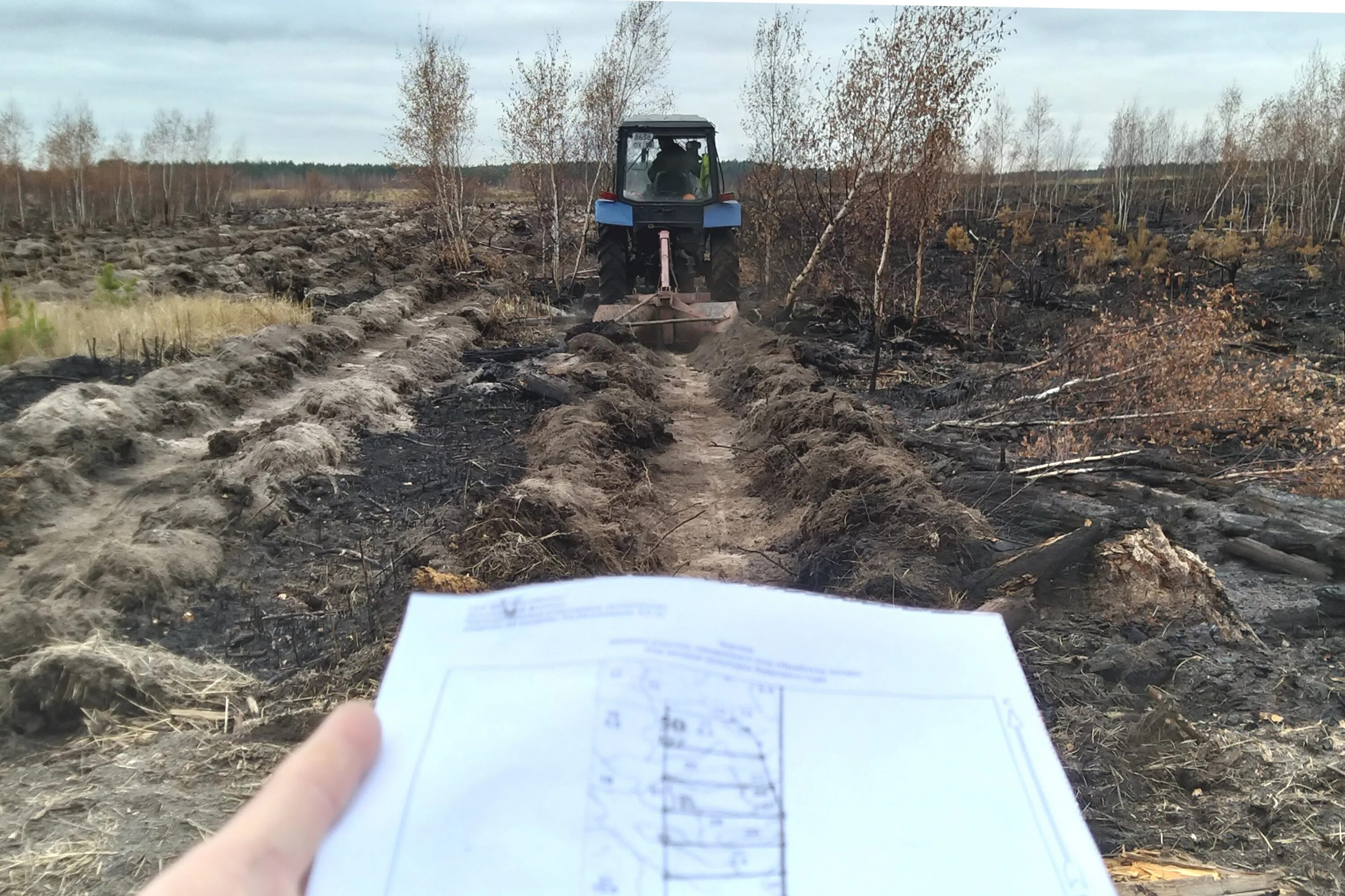 Добыча леса зейский район. Подготовка почвы для посадки лесных культур. Подготовка почвы под культуры. Фреза для подготовки почвы под лесные культуры. Подготовка почвы для посадки лесных культур.