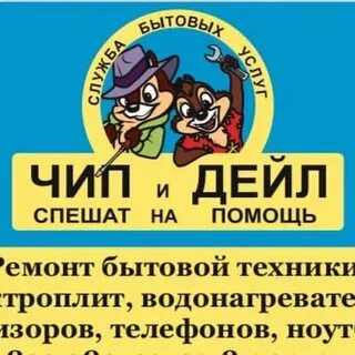 Друг чипа