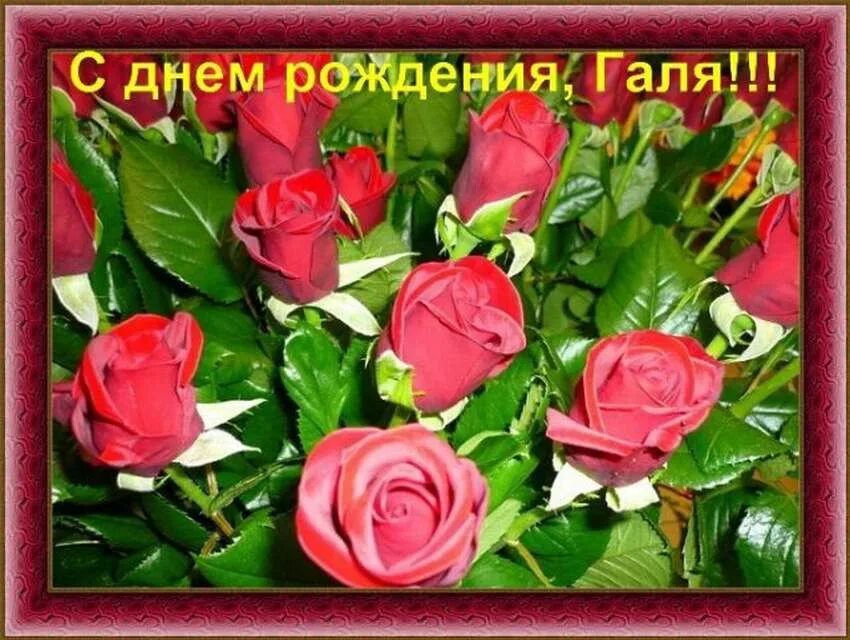 Галя с днём рождения. Поздравление с днём рождения галине в картинках. Поздравления с днём рождения открытки. Поздравления с днём рождения га. Открытка с днем рождения женщине имя галя.