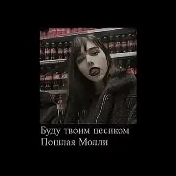 Текст буду твоим песиком