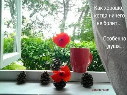 Тепла в душе и за окном