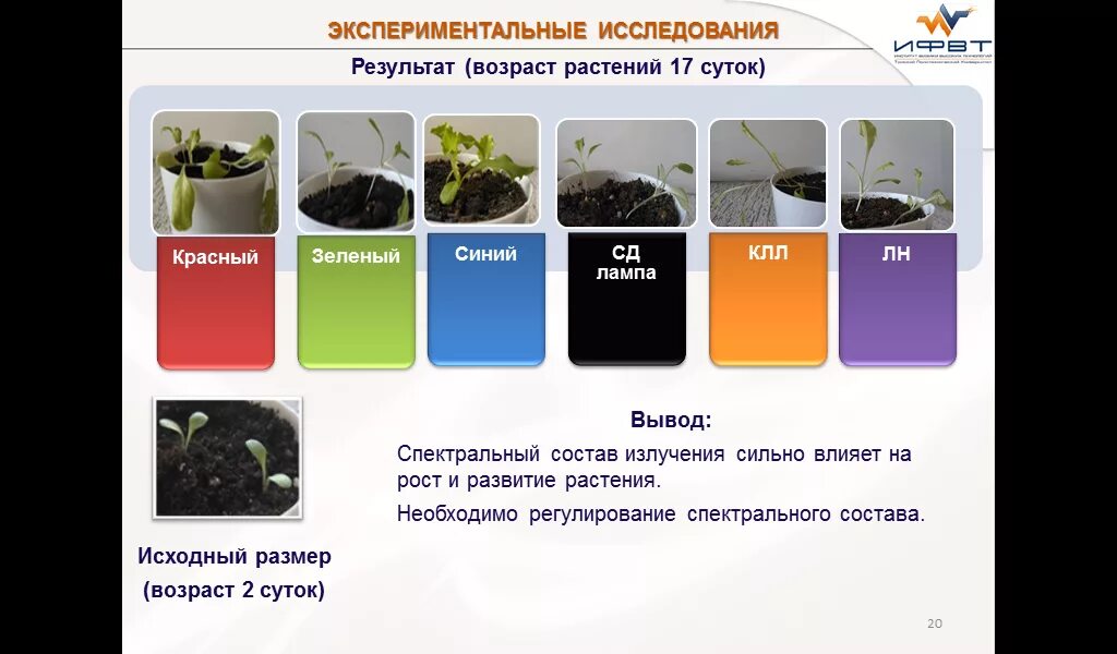 Возраст растений. Растения в условиях разной освещенности. Светолюбивые растения для аквариума. Влияние освещенности на рост и развитие растений.