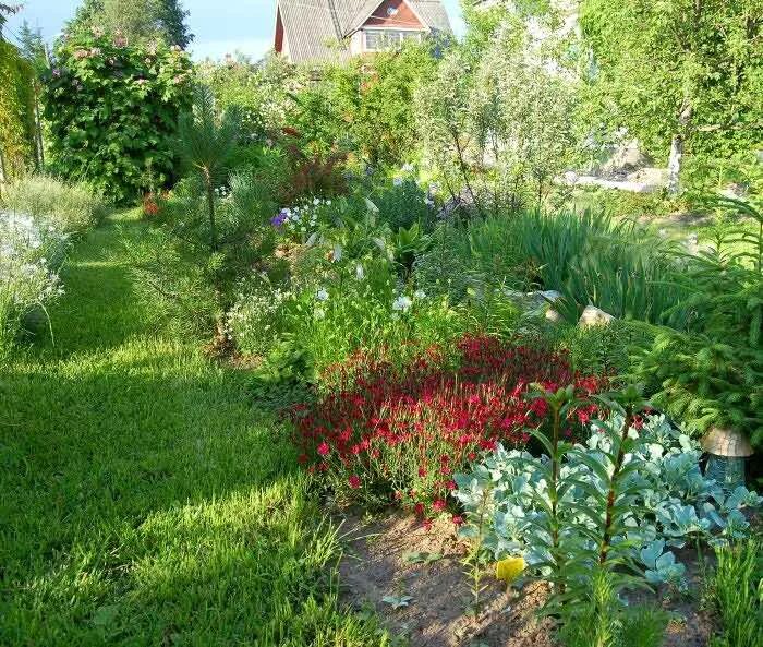 Сад северный 2. Прекрасные сады северо-запада. Сад юрия марковского туи. Сад северный 2. Сад северный 2.