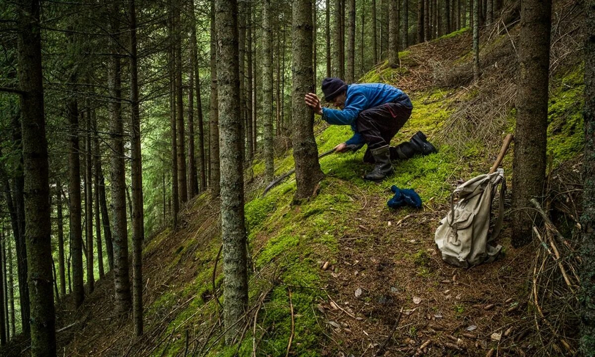 Что делают люди в лесу. Жизнь в лесу. Живём в лесу. Человек в лесу. Фотосессия в лесу.