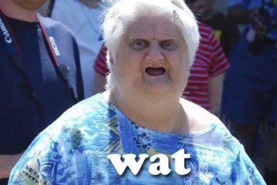 бабка wat оригинал. What картинка. бабуля wat. бабка шта. старушка wat.
