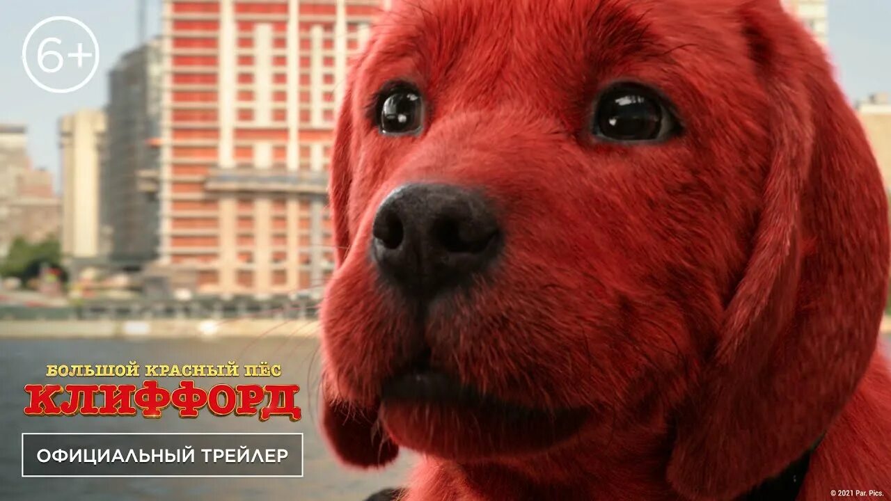 Клиффорд 2021 большой красный. Красный пёс Клиффорд 2021. Красный щенок Клиффорд.