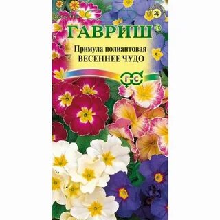 Примула полиантовая