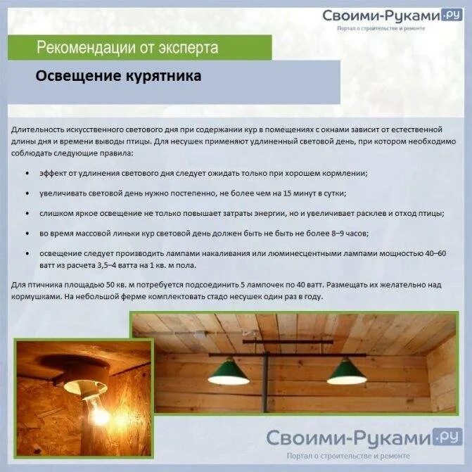 Температура для кур. Освещение в курятнике зимой. график освещения в курятнике. режим освещения в птичнике. освещенность для кур несушек.