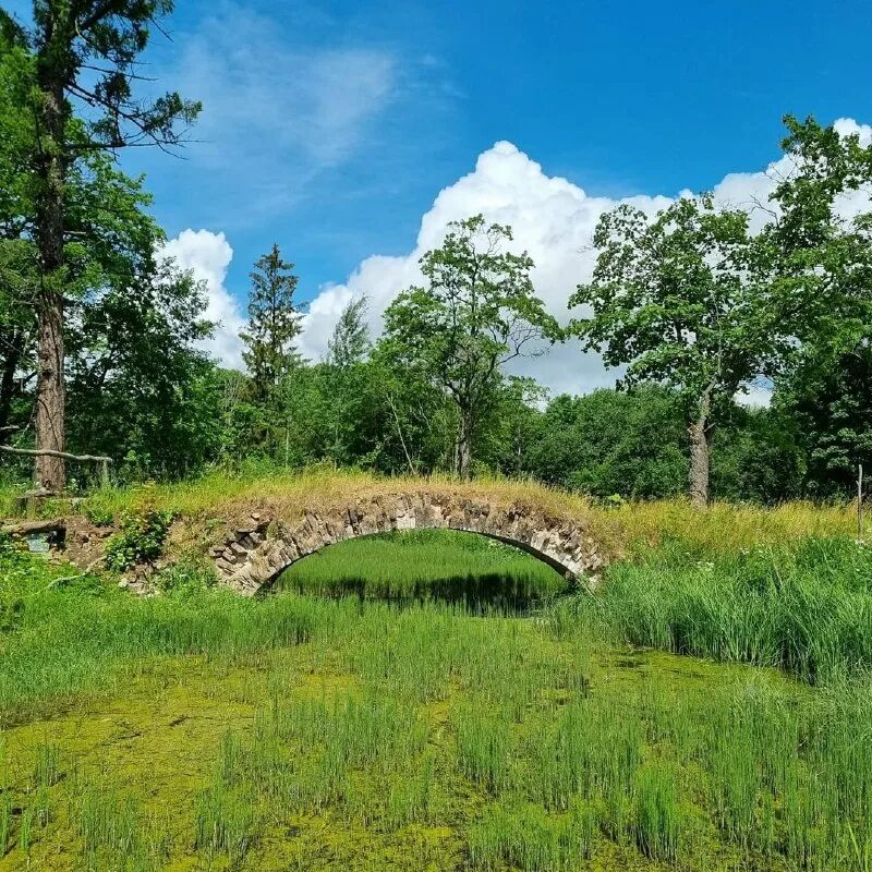 Село тайцы. Каменный мост в Демидовском парке Тайцы. Таицкий парк. Тайцы парк. Тайцы Ленинградская область.