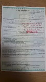 Полис баз