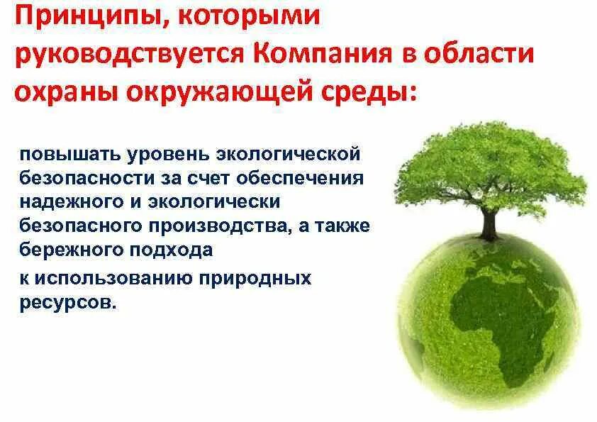 Охрана окружающей среды и обеспечение экологической безопасности. Управление природопользованием и охраной окружающей среды. Принципы охраны окружающей среды. Государственное управление охраной окружающей среды.