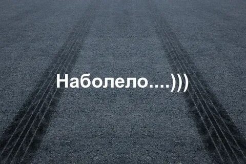 Дзен канал политика