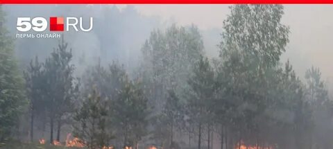 Пожары лета 2021