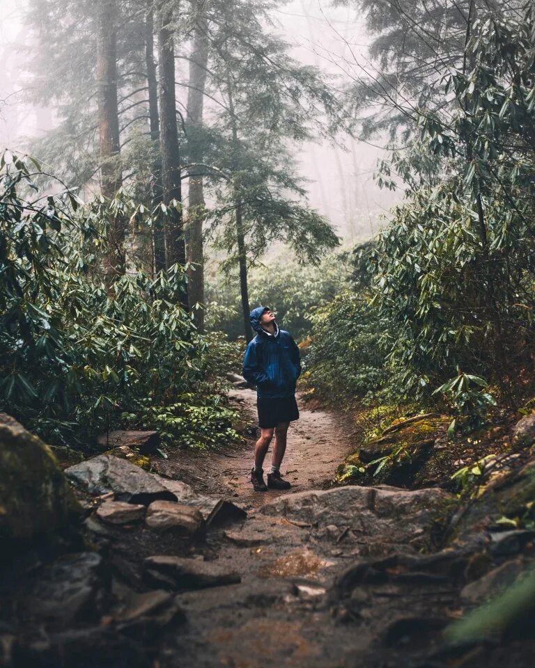 Поход в лес. Поход в лес двоим. Forest walk. Фон люди в походе в лесу.