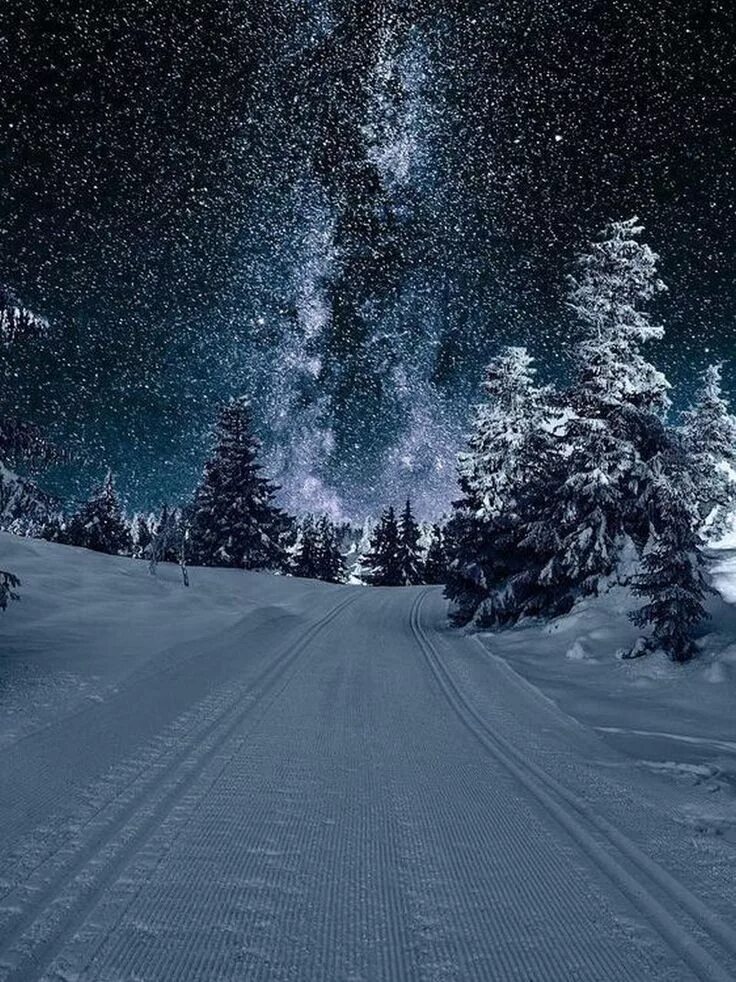 Картинка снег ночью. Зима снег. Ночь зимой. Снег ночью. Красивый снегопад.