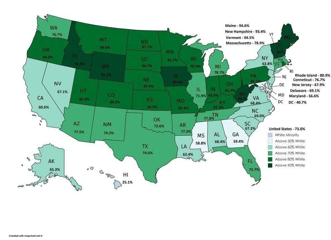Штаты сша 50 штатов. Состав населения сша. Процент белого населения в сша. Сколько белых в америке. Численность населения сша по штатам карта.
