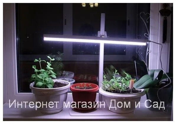 Фитосветильник «растущий светильник фито f1 16 Вт». Фитосветильник «растущий светильник 9 Вт». Фитолампа здоровья клад 9вт. Фитолампа g23 для растений. Купить подсветку для цветов
