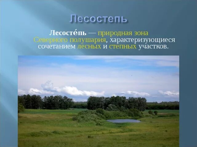 Лесостепи и степи отличаются богатством биологических ресурсов. Лесостепи и степи климат. Степи и лесостепи 4 класс окружающий мир. Лесостепь природная зона. Природные зоны степи и лесостепи.