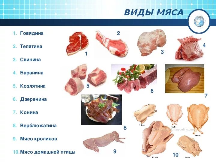 Как отличить свинину. Виды мяса. Разновидности маса. Типы свиного мяса.